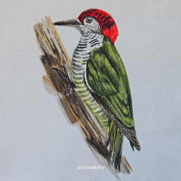 Vintage Silk Scarf Roland Ward Painted Birds Collectible - Picture 3 of 15